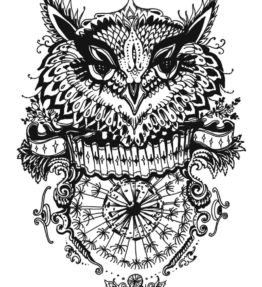 Coloring Page - Download Print Color Owl