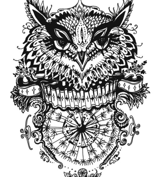 Coloring Page - Download Print Color Owl