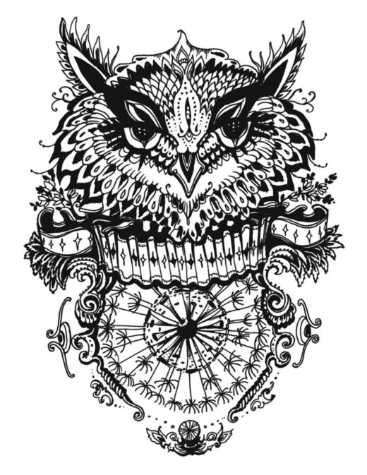 Coloring Page - Download Print Color Owl