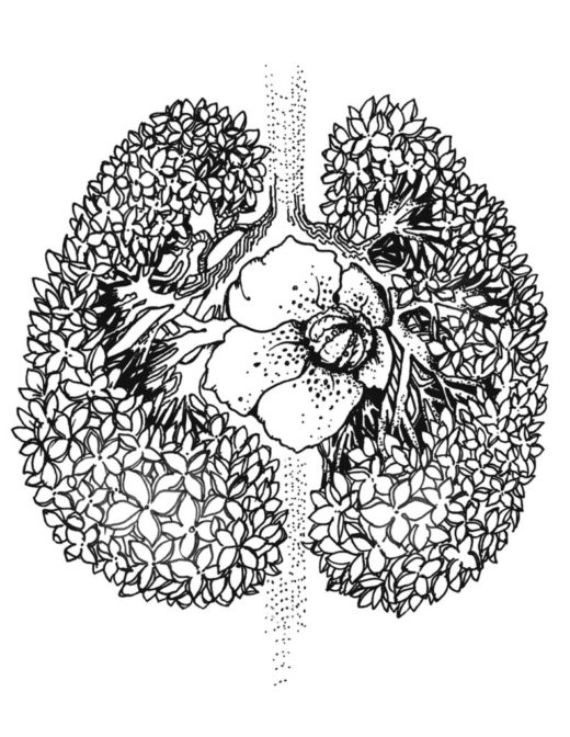 Coloring Page - Download Print Color Spring